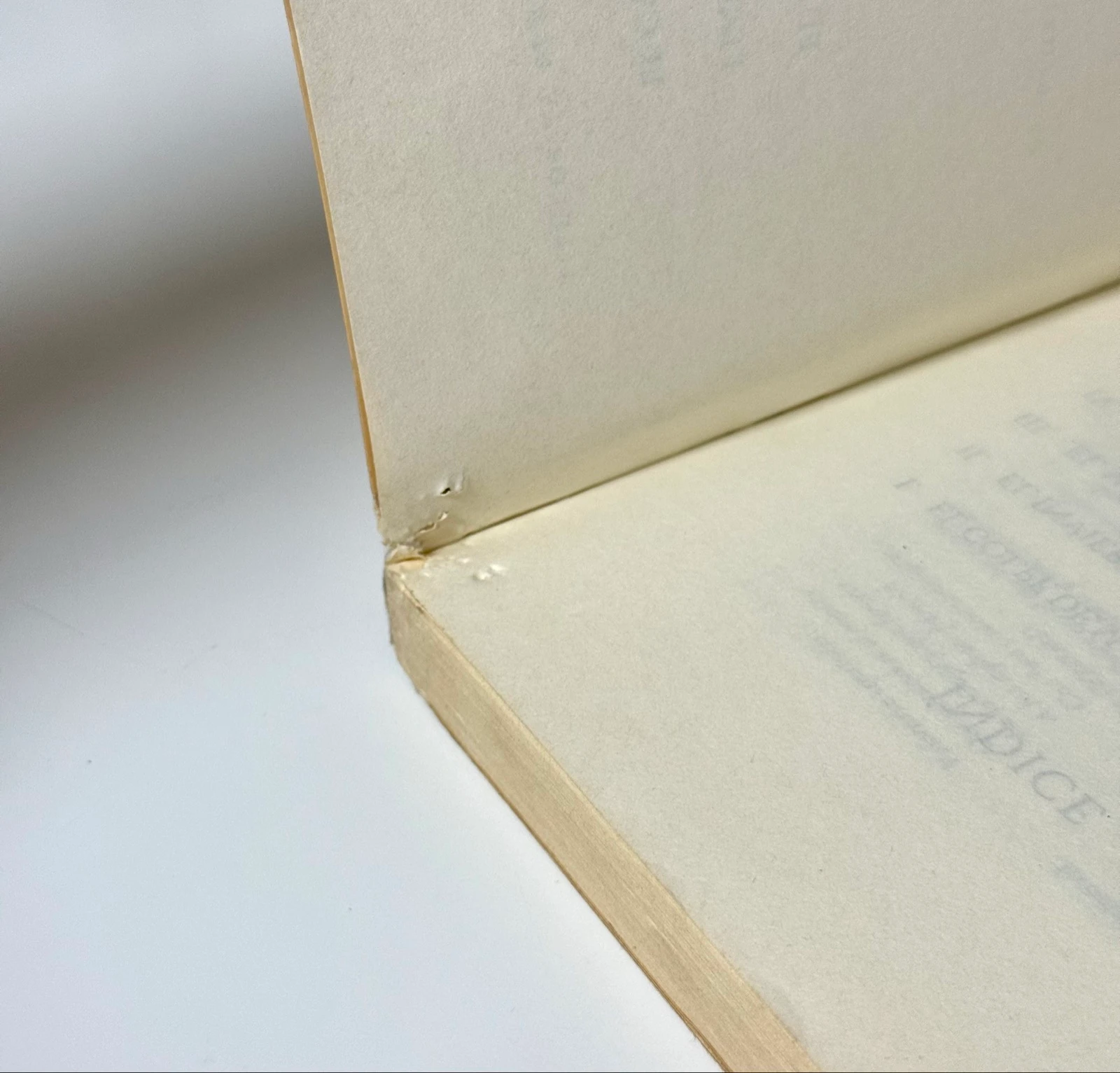 Libro El Sol de Breda – photo 7